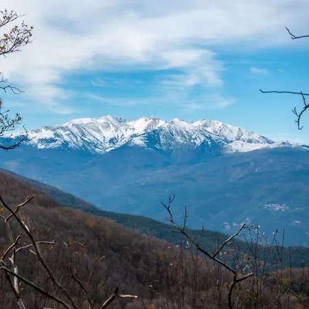 Hostel-elisee-perpignan *