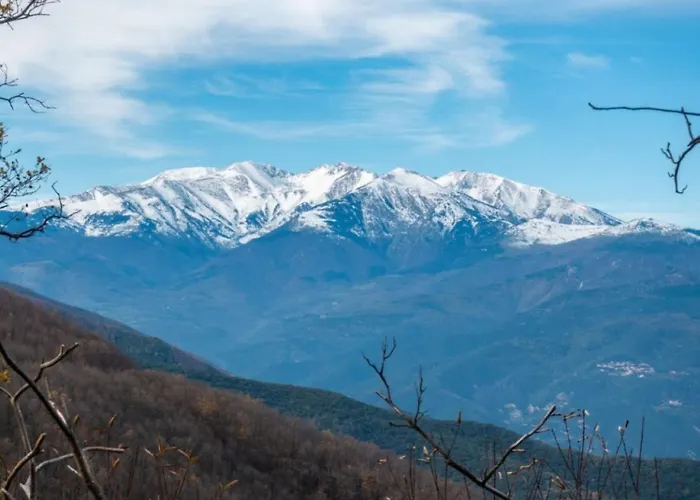 Hostel-élisée-perpignan *